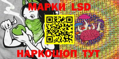 spice Камышлов