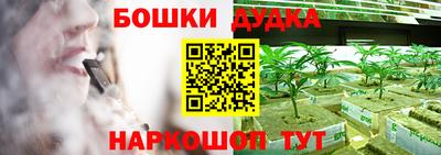 spice Камышлов