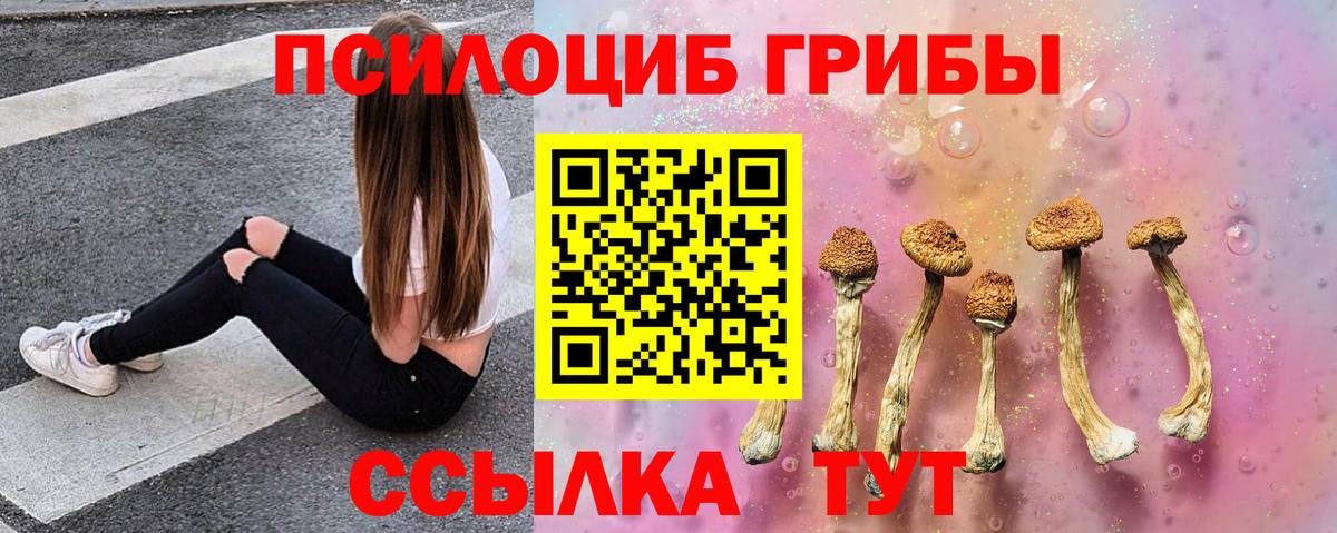 Галлюциногенные грибы прущие грибы  Вход с VPN  Мценск 