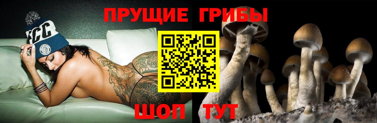 Галлюциногенные грибы мицелий Мценск